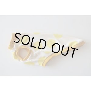 画像: 手書き風Bigドット(イエロー)　イタグレ4号