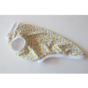 画像: 【特殊冷感　ウォータークールクロス】　レモン　イタグレ4号