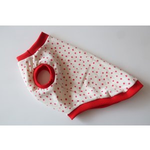 画像: 赤ドット　ワイアM