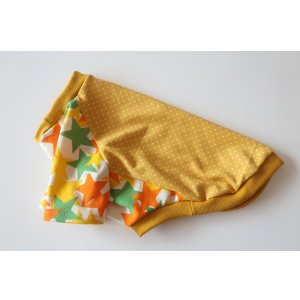 画像: プチドット×星柄　ワイアM