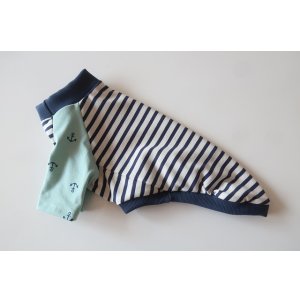 画像: イカリ×ボーダー　イタグレ1号