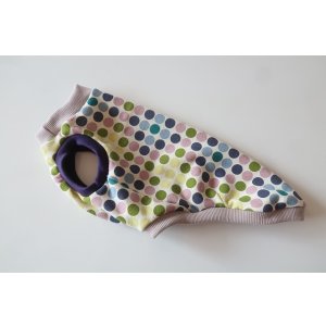 画像: レトロドット　イタグレ3号