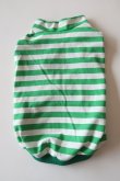 画像2: 緑×白ボーダー　ワイアL