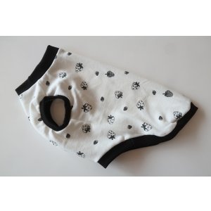 画像: いちご　ワイアM