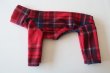 画像1: 【フリース】赤×紺タータンチェック　イタグレ4号