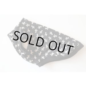 画像: テリア　ワイアLL