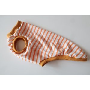 画像: オレンジ×白ボーダー　イタグレ4号