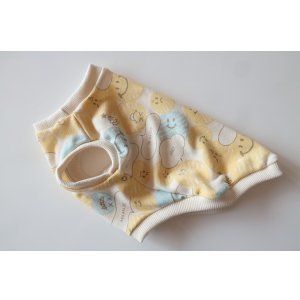 画像: スマイル　4号