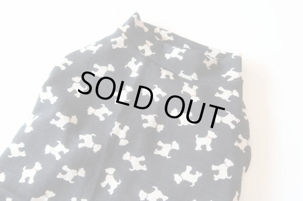 画像3: テリア　ワイアLL