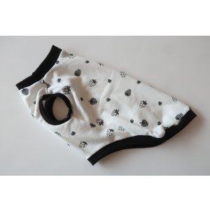 画像: いちご　ワイアL