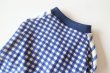 画像3: ギンガムチェック(青)　ワイアM