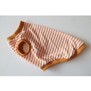 画像: 【接触冷感】ミラキュラスクール　オレンジ×白ボーダー　ワイアL