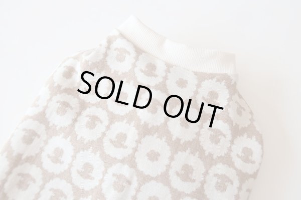 画像3: 白ひつじ