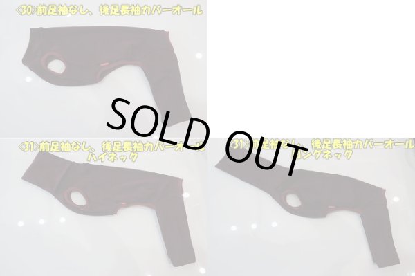 画像13: 白ひつじ