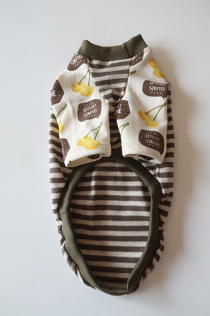 画像4: ボーダー×チェリー　イタグレ3号