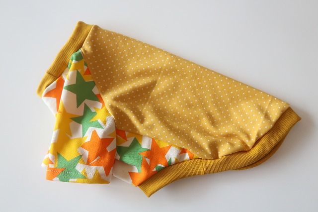 画像1: プチドット×星柄　ワイアM