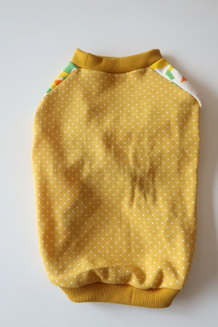 画像2: プチドット×星柄　ワイアM