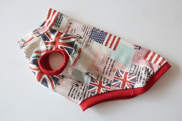 画像1: 【ミニ裏毛】TRIDENT　ワイアM