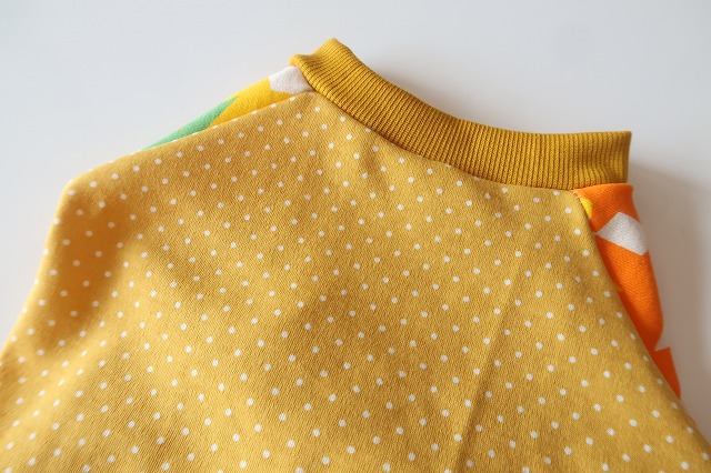 画像3: プチドット　ワイアM