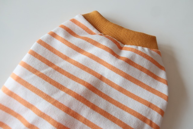 画像3: オレンジ×白ボーダー　イタグレ4号