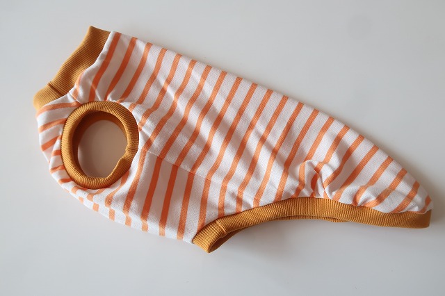 画像1: オレンジ×白ボーダー　イタグレ4号