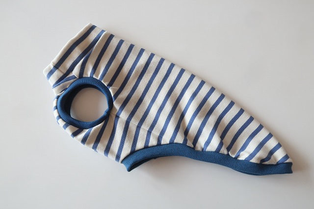 画像1: 青×白ボーダー　イタグレ4号