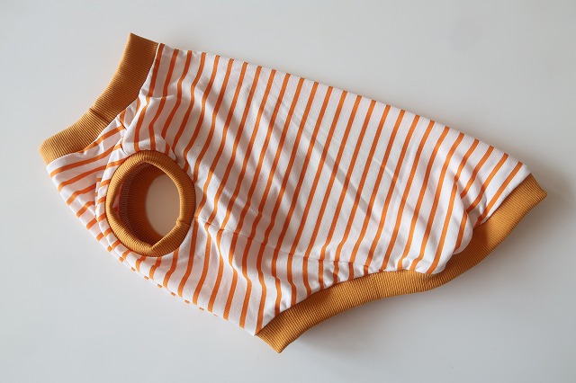 画像1: 【接触冷感】ミラキュラスクール　オレンジ×白ボーダー　ワイアL